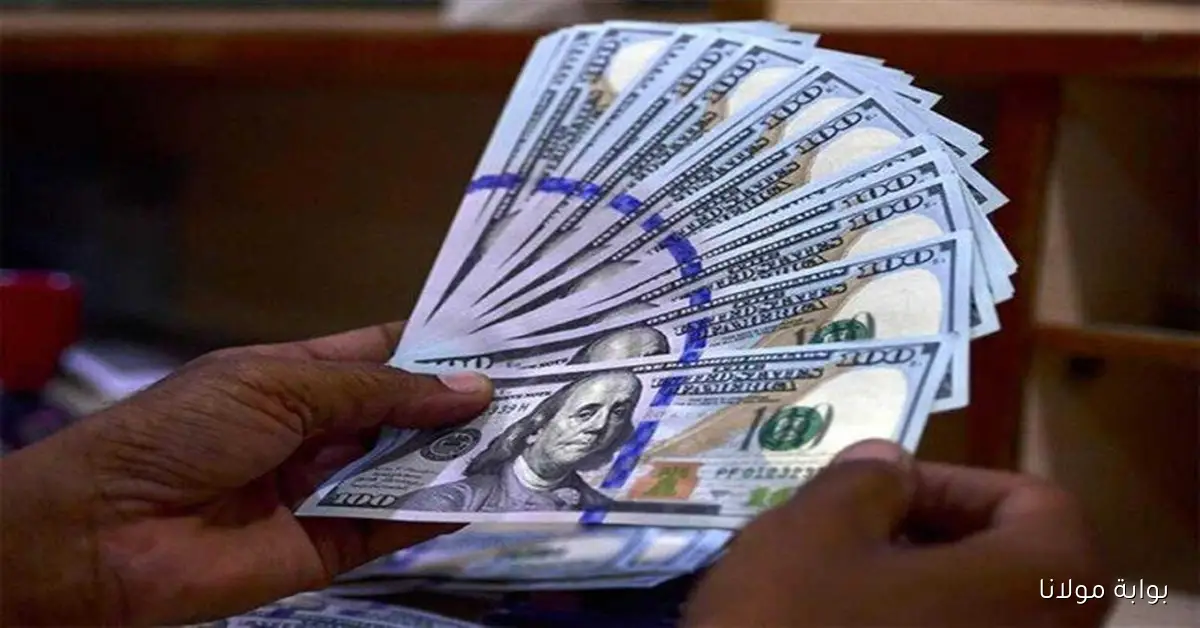 سعر الدولار في مصر بختام تعاملات اليوم الاثنين 6 أكتوبر 2025 مقابل الجنيه المصري