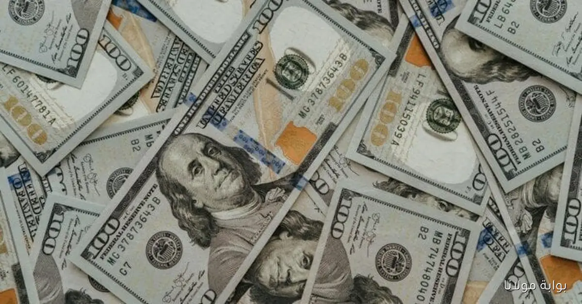 بكام في البنك الأهلي المصري.. سعر الدولار مقابل الجنيه المصري في مصر اليوم الأربعاء 1 أكتوبر 2025