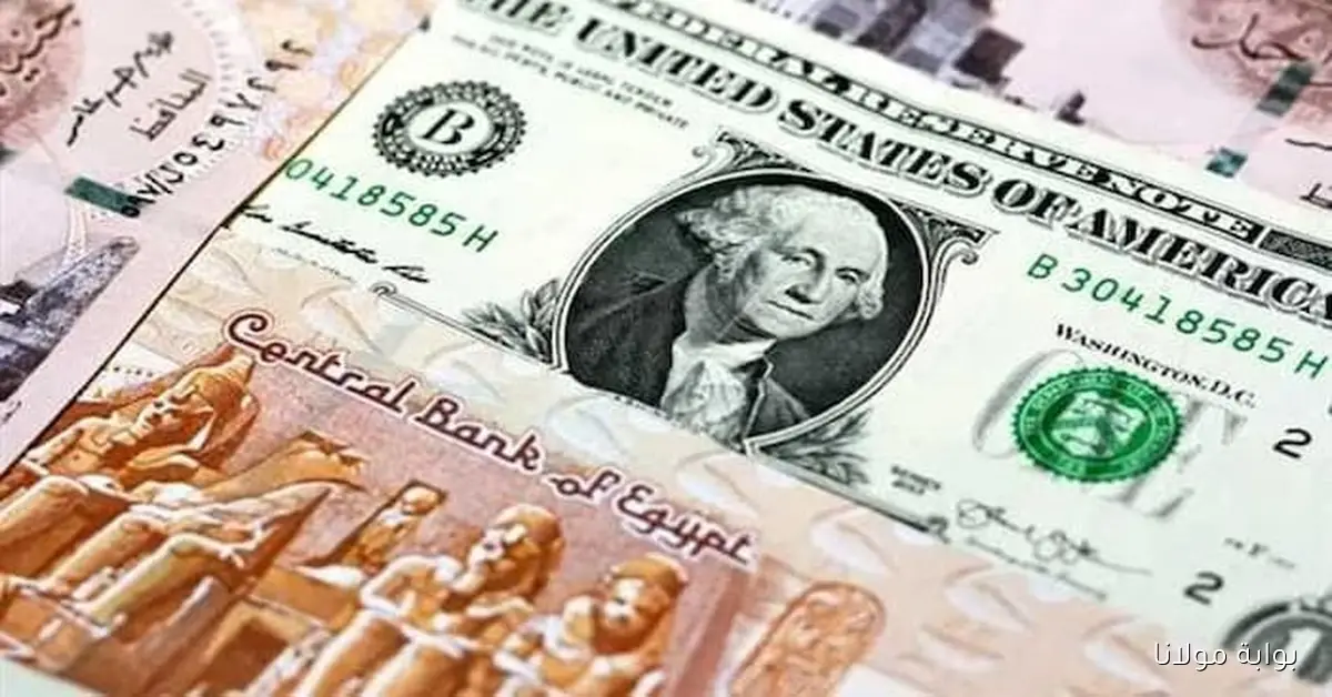 سعر الدولار بنك مصر اليوم الخميس 2 أكتوبر 2025 في بداية التعاملات