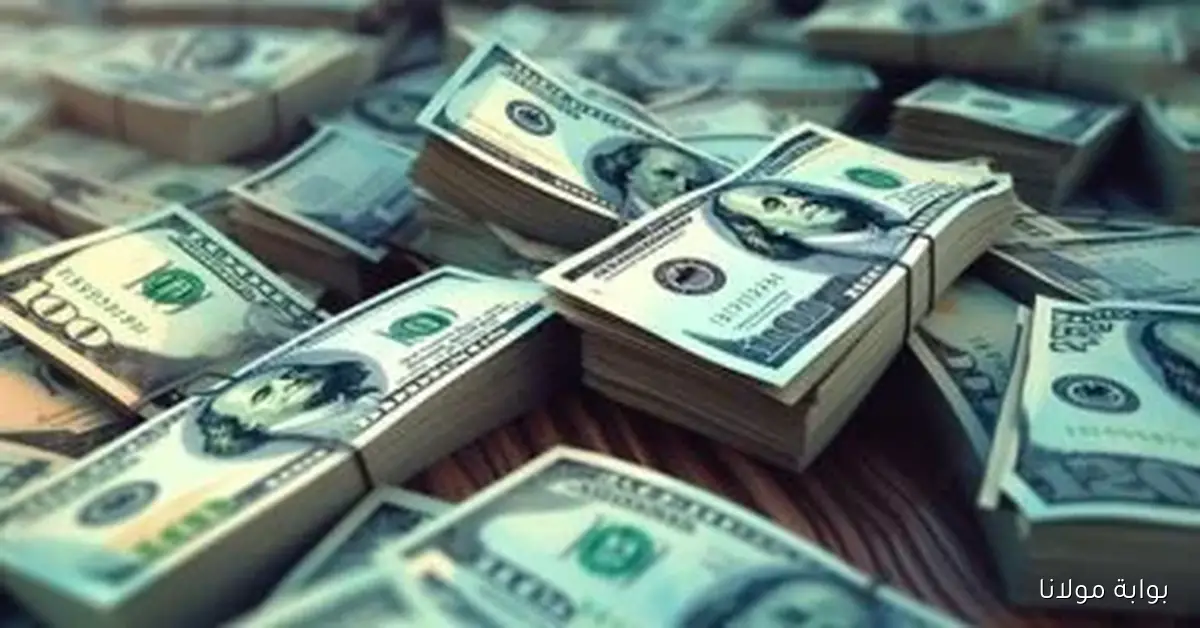 سعر الدولار مقابل الجنيه في البنوك المصرية لحظة بلحظة