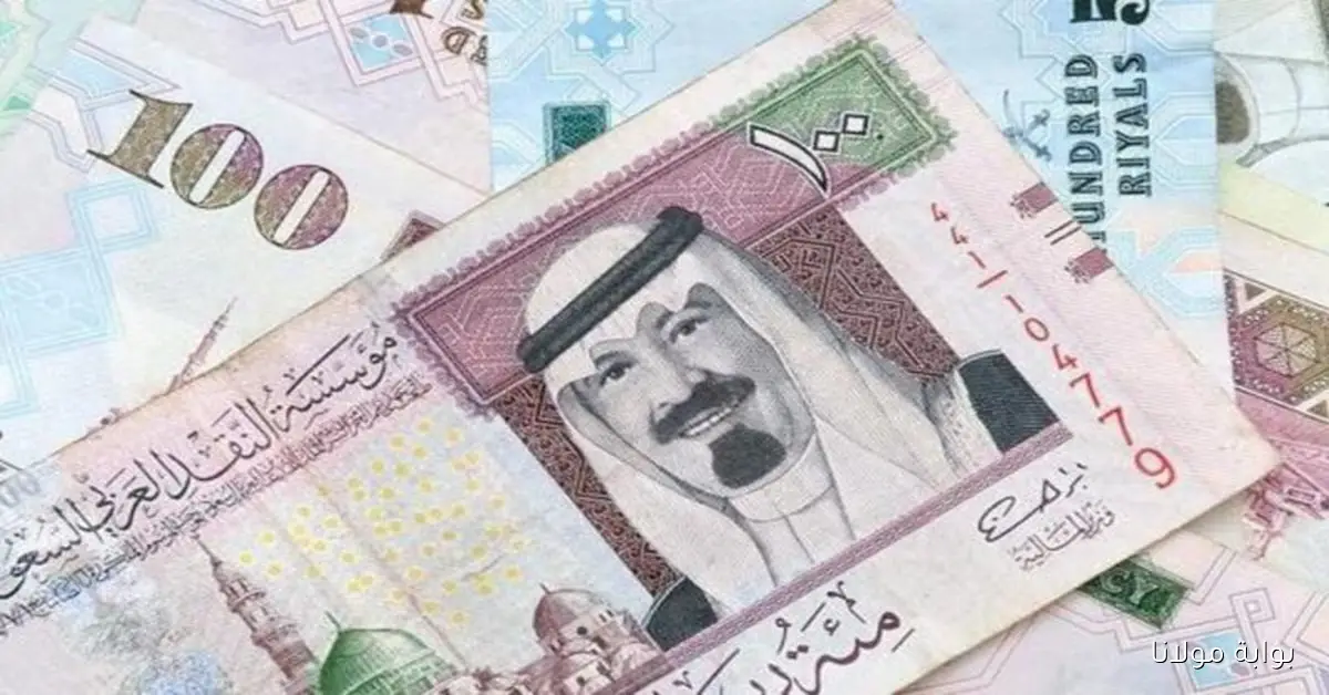 سعر الريال السعودي اليوم في البنك الأهلي وتأثيره على السوق المالية المحلية