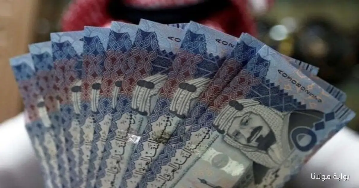 بكام دلوقتى؟.. سعر الريال السعودي مقابل الجنيه في مصر اليوم الأربعاء 1 أكتوبر 2025