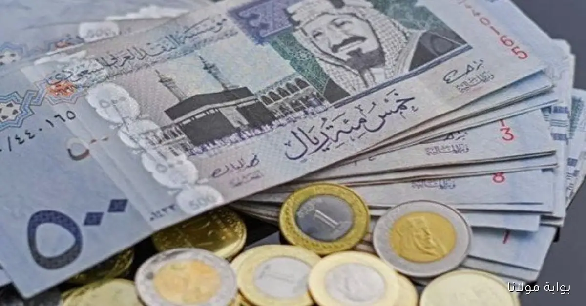 العملة الملكية بكام .. سعر الريال السعودي في مصر اليوم الخميس 2 أكتوبر 2025