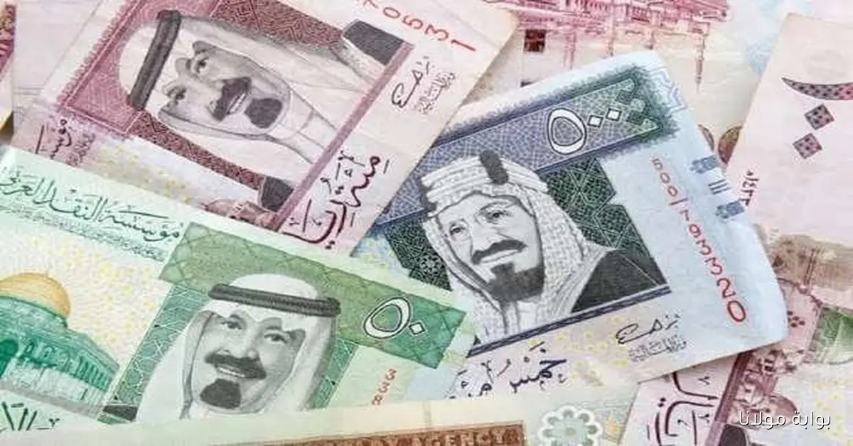 سعر الريال السعودي اليوم مقابل الجنيه المصري الأحد 5 أكتوبر