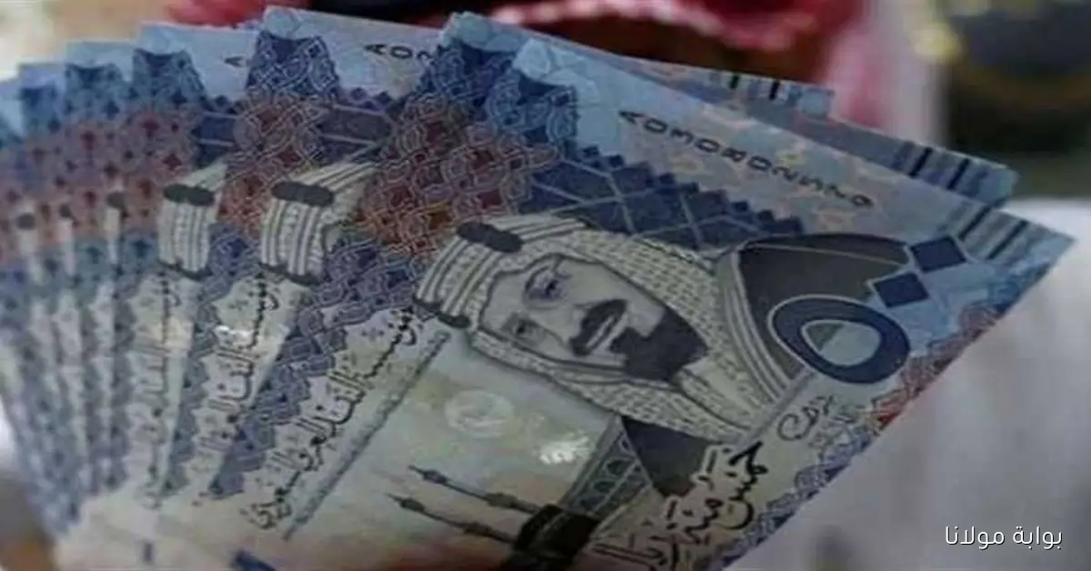 سعر الريال السعودي في مصر اليوم الأحد 5 أكتوبر 2025 مقابل الجنيه المصري
