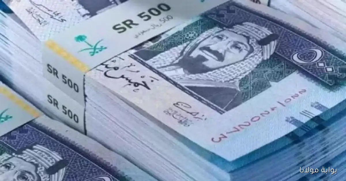 بكام الملكي .. سعر الريال السعودي اليوم أمام الجنيه الأربعاء 1 أكتوبر