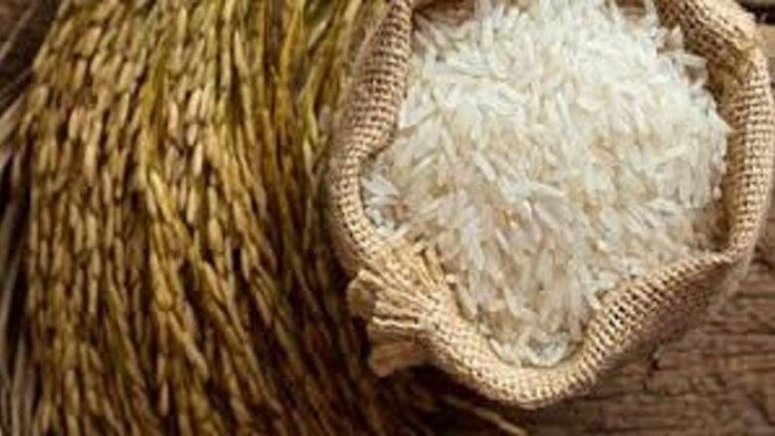 سعر طن الأرز