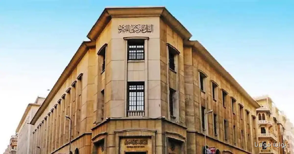 إقبال قياسي على شهادات الادخار يشعل المنافسة بين البنوك قبل اجتماع المركزي