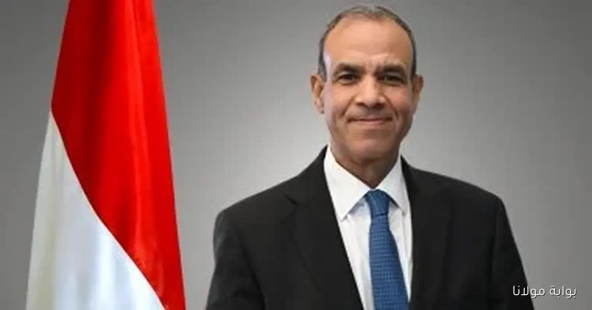 صدور كتابين من وزارة الخارجية حول زيارات رئيس الجمهورية وإنجازات الدبلوماسية المصرية