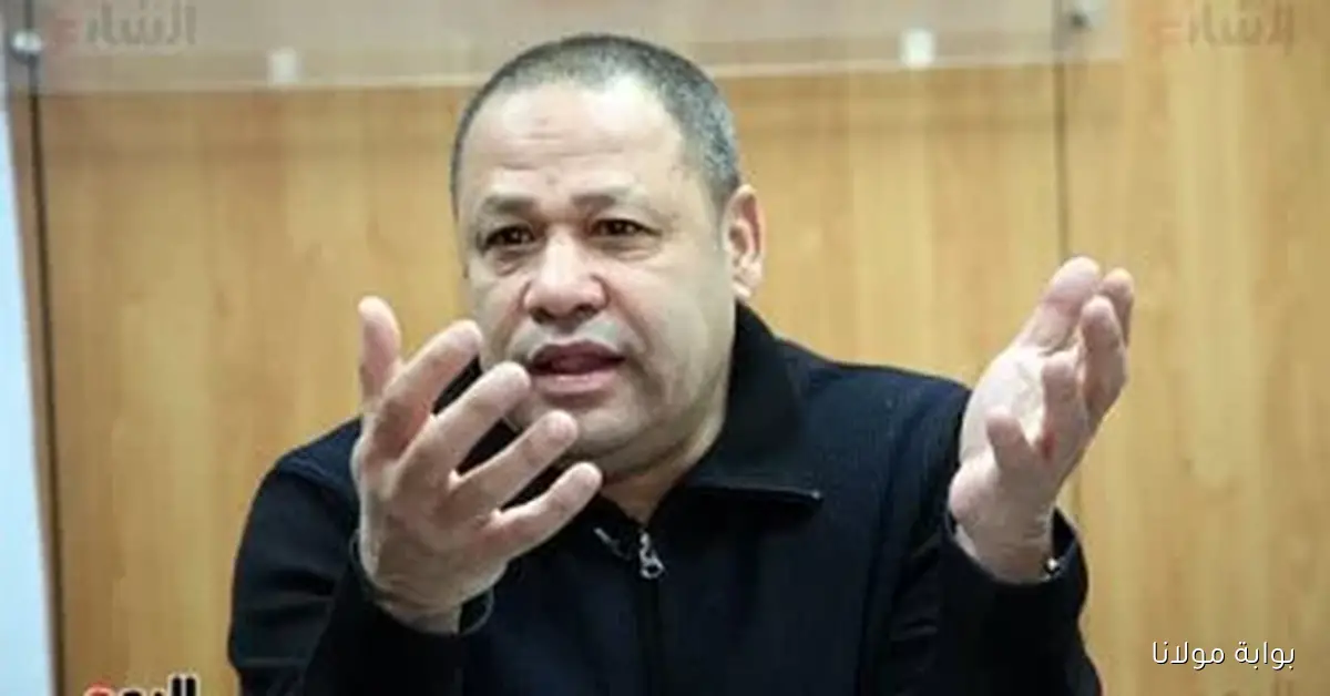 ضياء السيد: الرئيس السيسي يحقق السلام في غزة ويعزز دور مصر في المنطقة