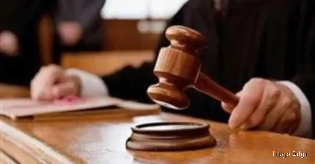 عودة العمل في المحاكم المصرية بكامل طاقتها بعد انتهاء الإجازة القضائية