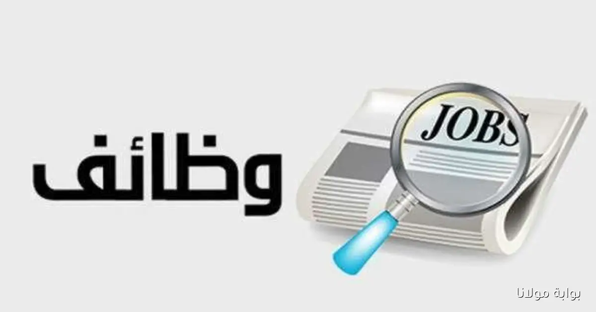 فرص عمل جديدة في وزارة الشباب والرياضة لعام 2025 مع تفاصيل الشروط والتخصصات والرواتب