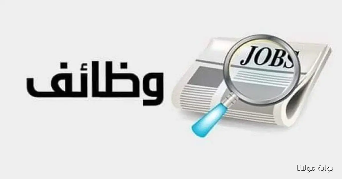 فرص عمل في التنظيم والإدارة لعام 2025 تشمل الشروط والتخصصات وموعد التقديم النهائي