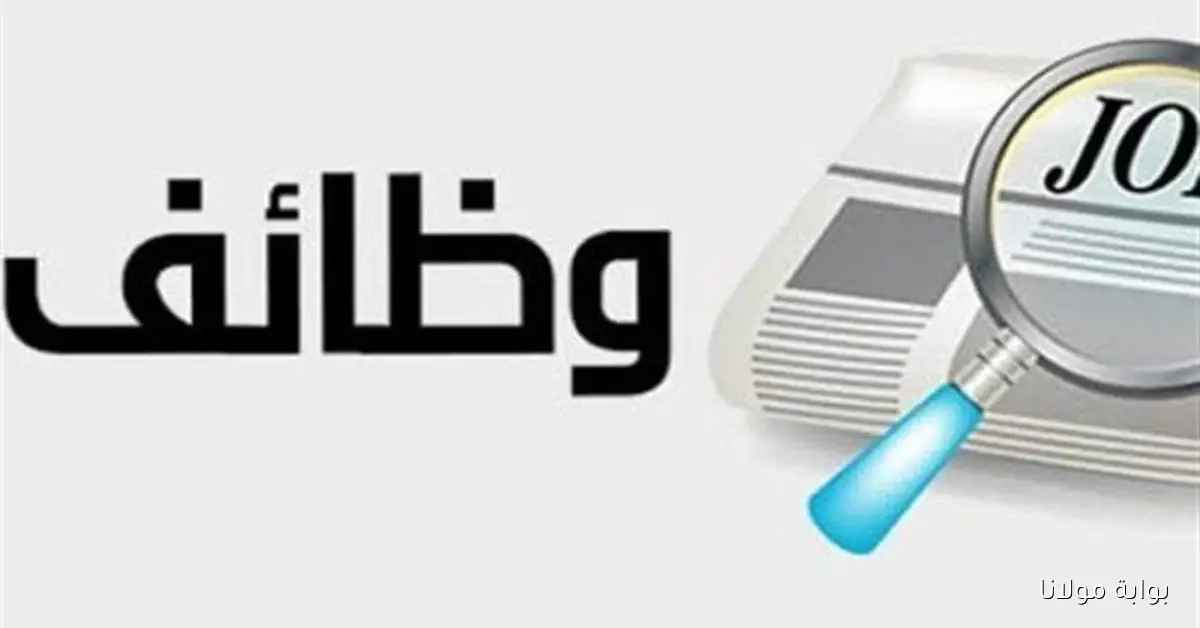 فرص عمل للشباب في الأردن بمرتبات 290 دينارا.. اعرف المهن المطلوبة
