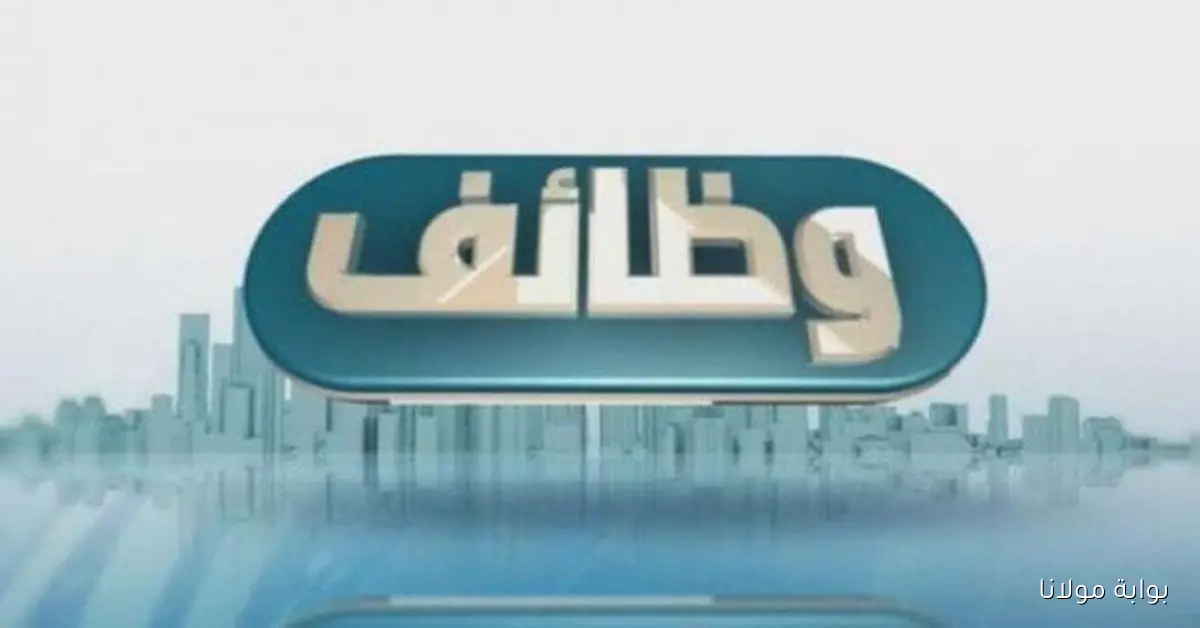 فرص عمل مميزة للشباب في بورسعيد.. تعرف على كيفية التقديم في المنطقة الصناعية والقرى السياحية