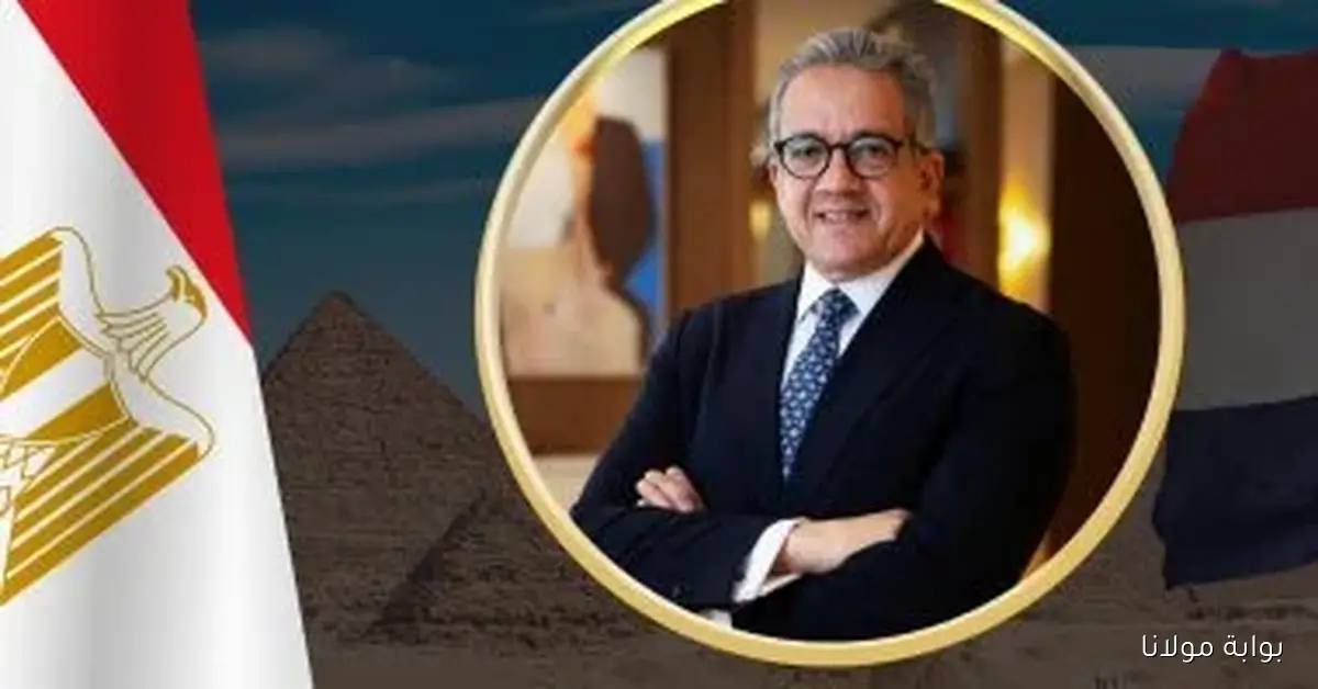 فوز العناني باليونسكو يعكس مكانة مصر الريادية في العالم