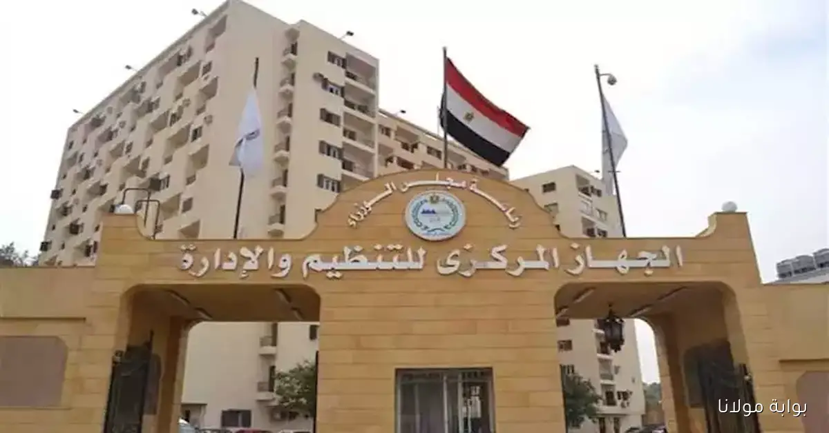 اليوم العالمي للمسنين.. إحصاءات جديدة تكشف عن زيادة توقعات الحياة في مصر بحلول 2025