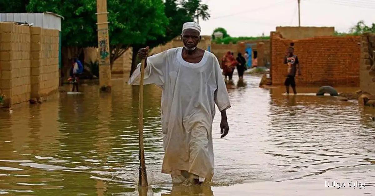 فيضانات السودان الان بسبب سد النهضة خسائر بشرية وزراعية متفاقمة