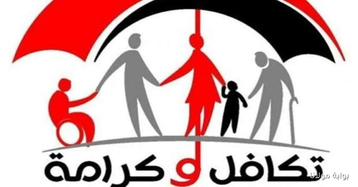 كل ما تحتاج معرفته عن معاش تكافل وكرامة 2025 والفئات المستحقة للاستفادة