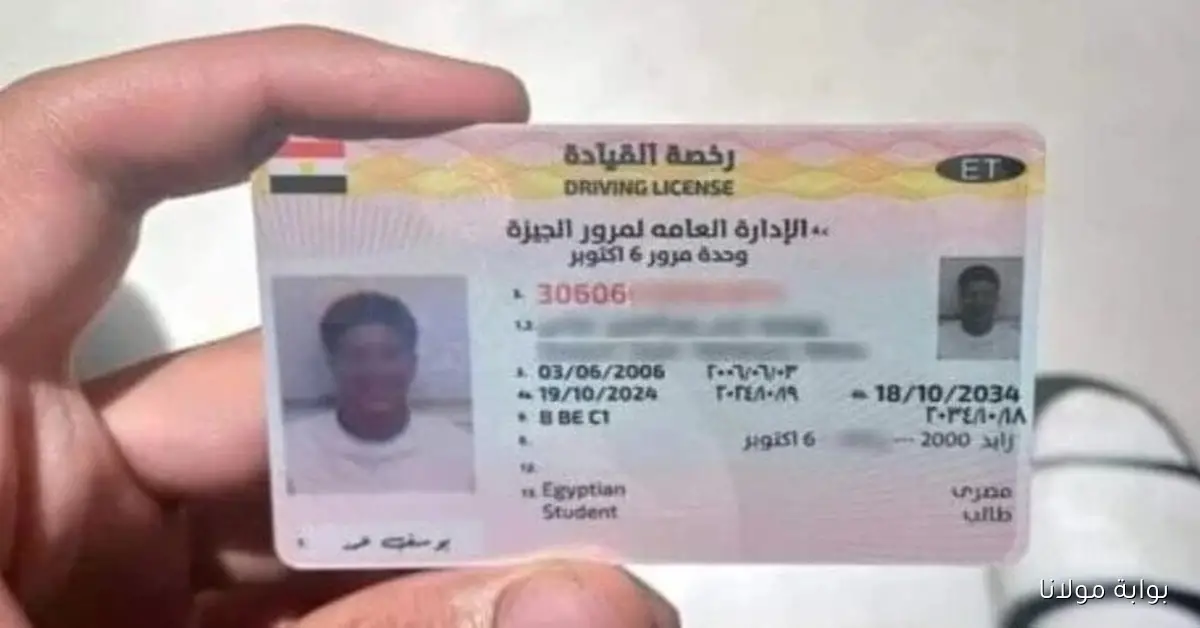 كل ما تحتاج معرفته للحصول على رخصة قيادة 2025 من الشروط إلى الرسوم والأوراق المطلوبة