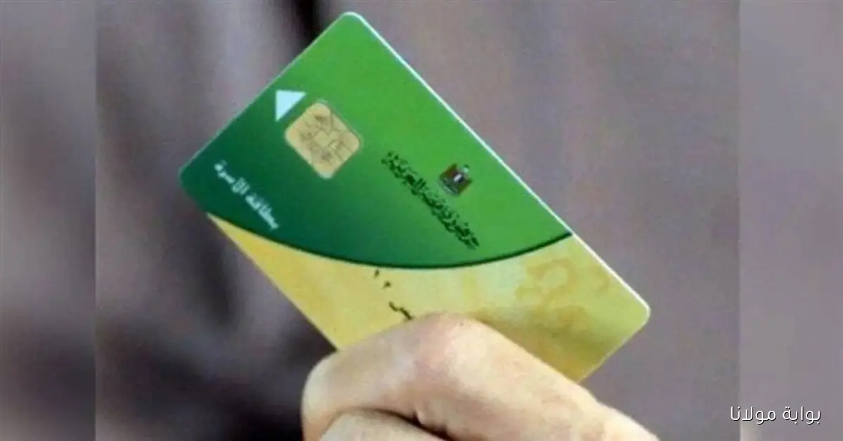 قدم بسهولة.. كيفية إضافة المواليد الجدد إلى بطاقات التموين وشروط التقديم عبر بوابة مصر الرقمية