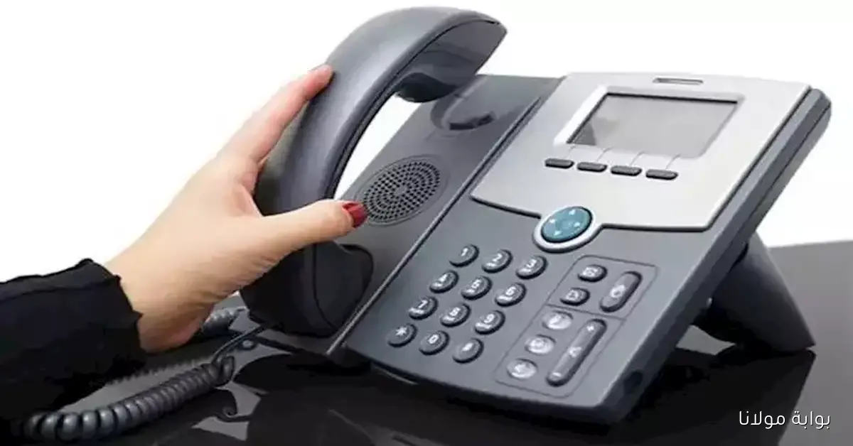 طريقة الاستعلام عن فاتورة التليفون الأرضي وكيفية السداد