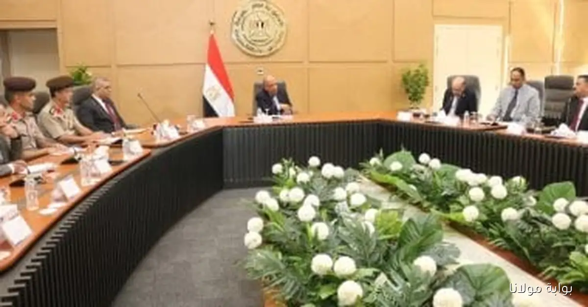 لجنة جديدة تناقش استغلال العناصر الأرضية النادرة لتحقيق التنمية المستدامة