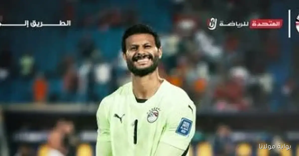 محمد الشناوي يتألق كحارس مرمى للمنتخب بـ 6 مباريات نظيفة من أصل 8