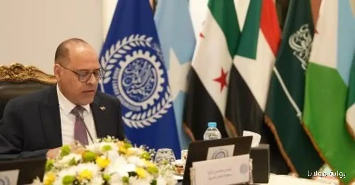 مصر تتصدر رئاسة منظمة العمل العربية بالإجماع للعام الثاني على التوالي