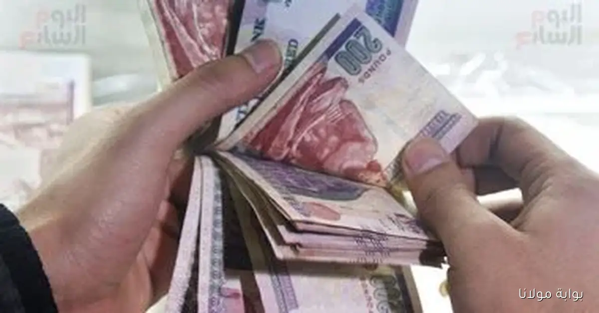 مصر تحصد نتائج الإصلاح مع رفع التصنيف الائتماني وفقًا لرئيس شعبة الأدوات الكهربائية