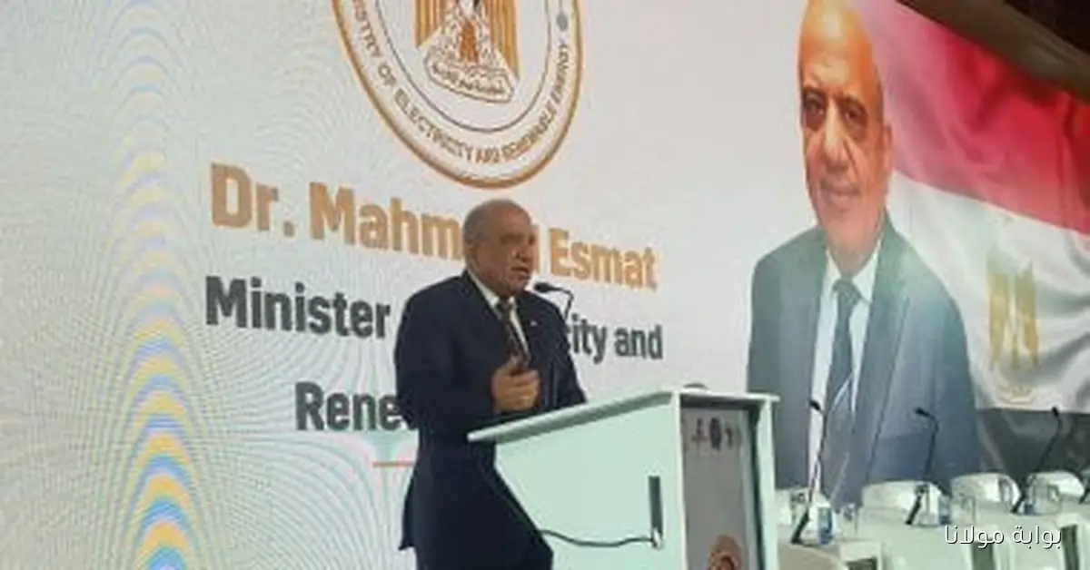 مصر تعزز شراكتها في التنمية المستدامة بإفريقيا وفقاً لوزير الكهرباء