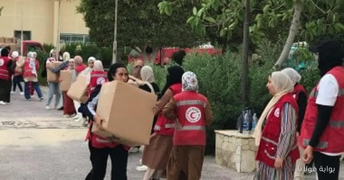 مطار العريش يستقبل طائرة مساعدات سعودية لدعم قطاع غزة