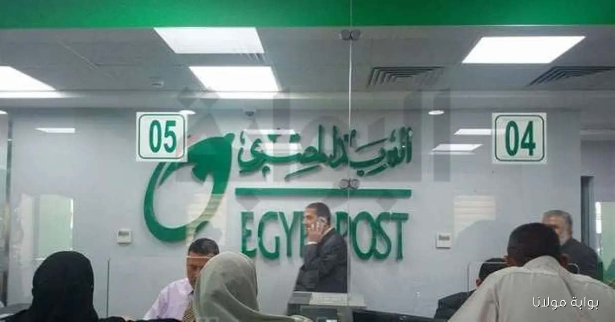 الساعة كام .. مواعيد عمل البريد المصري يوم الخميس 2 أكتوبر 2025