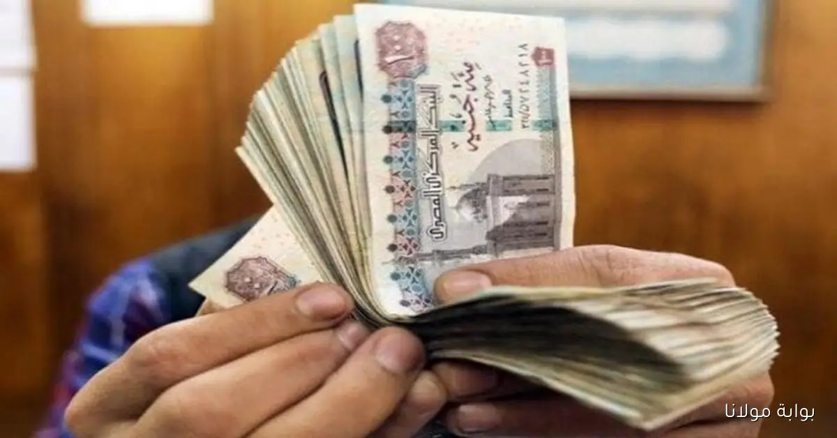 موعد صرف مرتبات شهر أكتوبر في مصر 2025 وقيمة الزيادة الجديدة