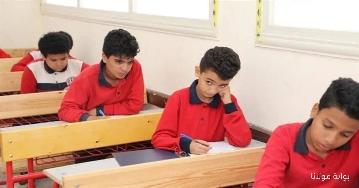 التعليم تعلن إتاحة التقييمات الأسبوعية لجميع المراحل الدراسية عبر موقع الوزارة