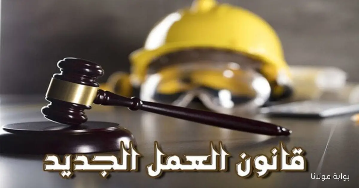 هل العلاوة الاستثنائية حق لجميع الموظفين؟.. الفرق بين الزيادات والمكافآت
