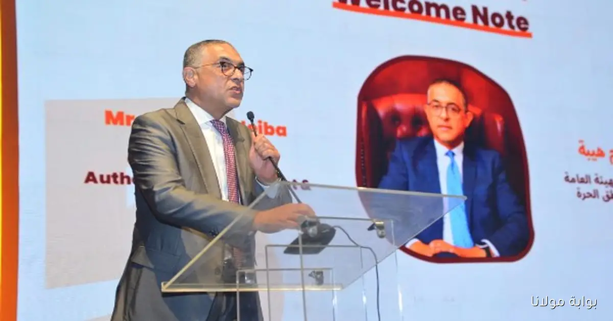هيئة الاستثمار تؤكد دور شركات التجارة الإلكترونية في تعزيز الاقتصاد المصري وتطوير القطاع