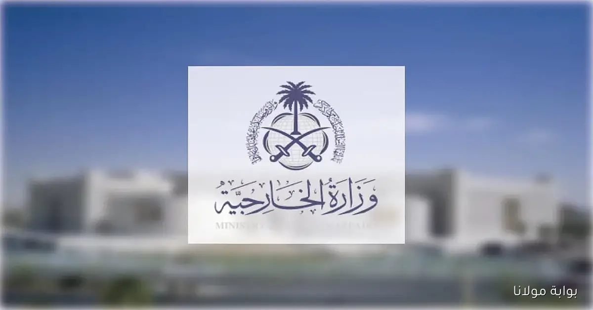 وزراء خارجية الدول العربية والإسلامية يتحدون في بيان مشترك لدعم غزة