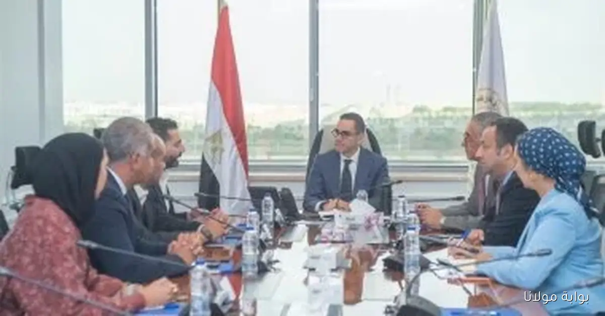 وزير الاستثمار يتواصل مع وفد LDV لاستكشاف فرص جديدة في التعليم وتعزيز الشراكات الاستثمارية