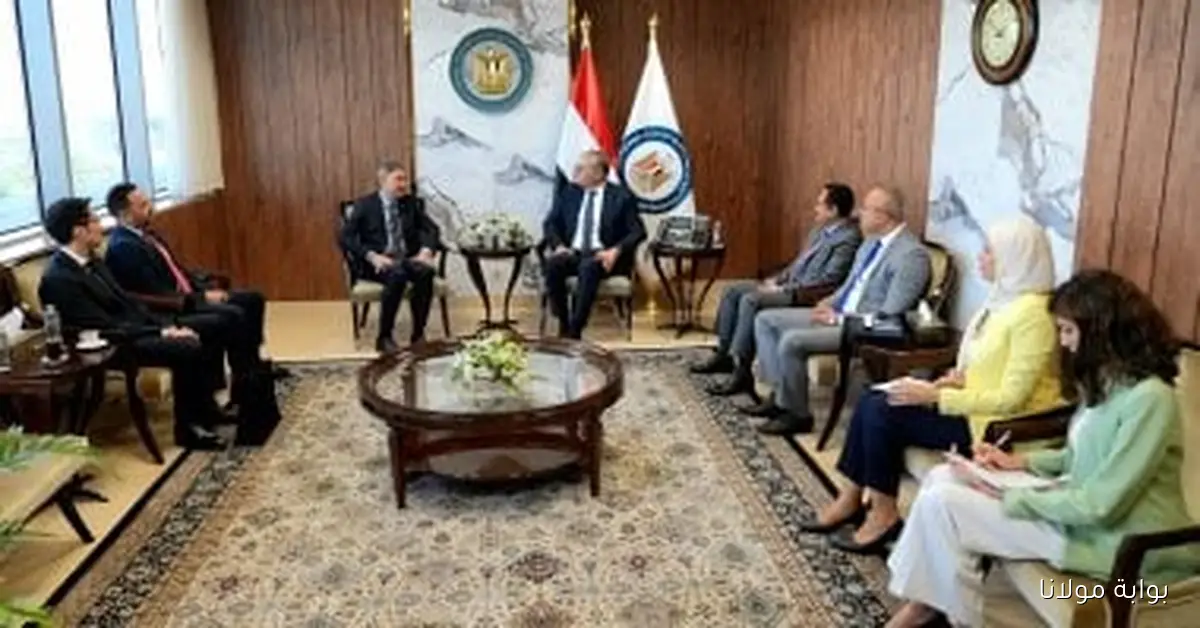 وزير البترول يلتقي بتروناس لتعزيز التعاون في قطاع الغاز