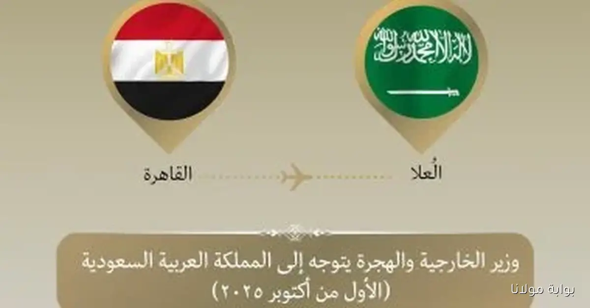 وزير الخارجية يتوجه إلى السعودية للمشاركة في اجتماع قادة ميونخ بمدينة العلا