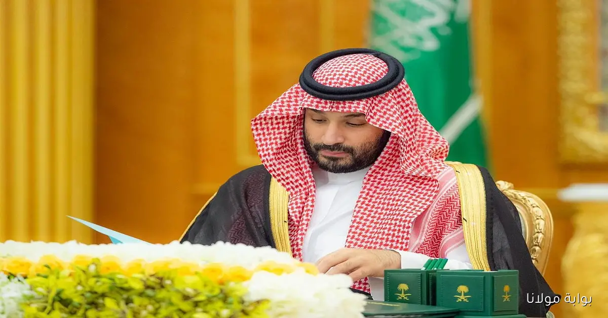 ولي العهد يترأس جلسة مجلس الوزراء في الرياض ويشدد على أهمية دعم جهود السلام في غزة