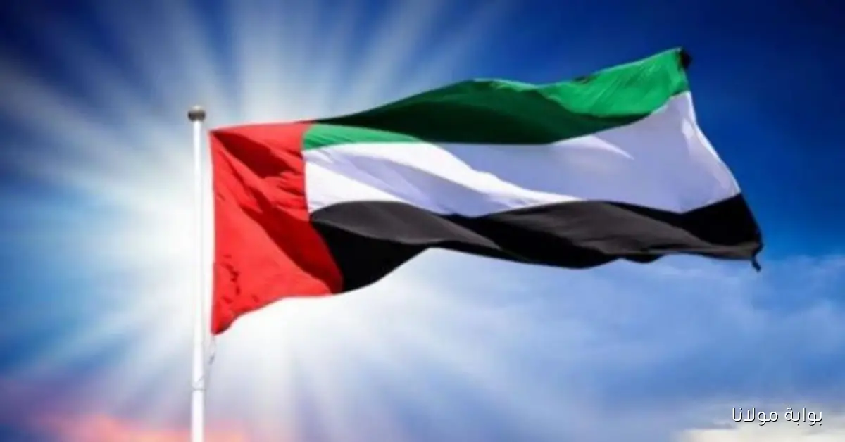 الإمارات تشارك العالم احتفاله بـ يوم المعلم العالمي 2025 وتؤكد دعمها لبناة أجيال المستقبل